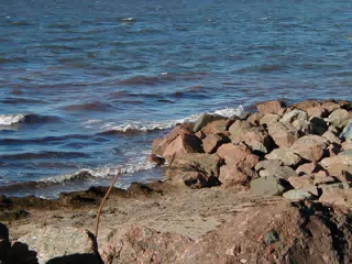 Beach at Northumberland Straight
