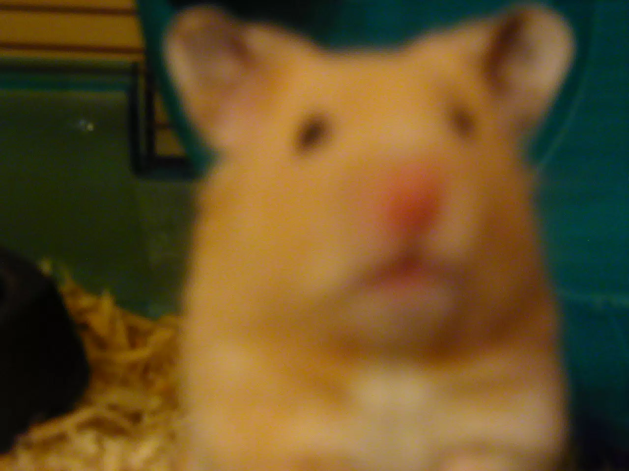 Mr. Humphries