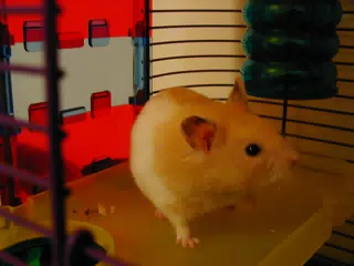 Mr. Humphries