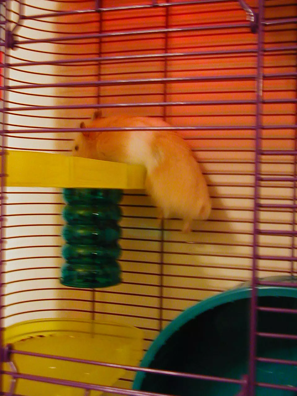 Mr. Humphries