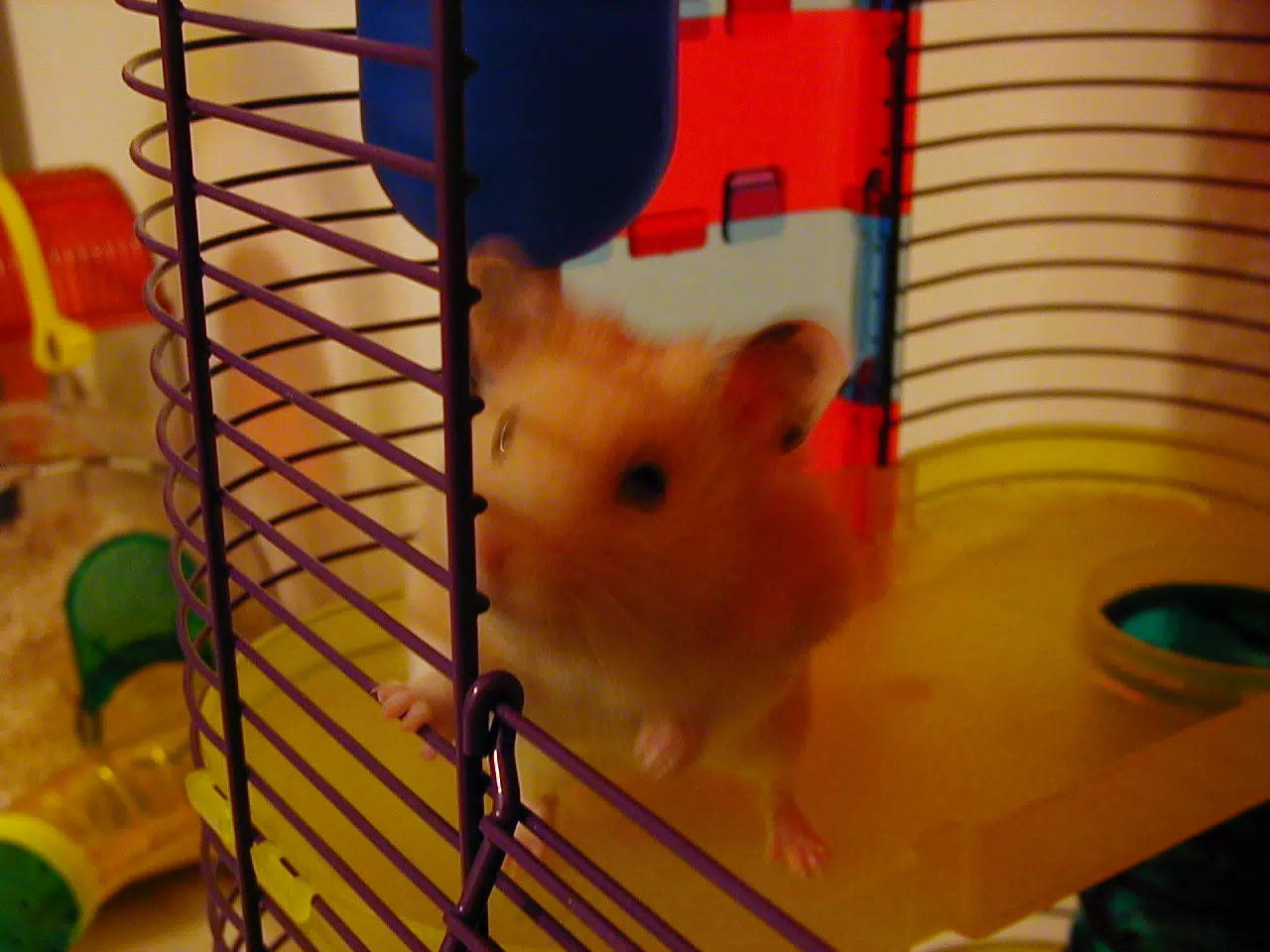 Mr. Humphries