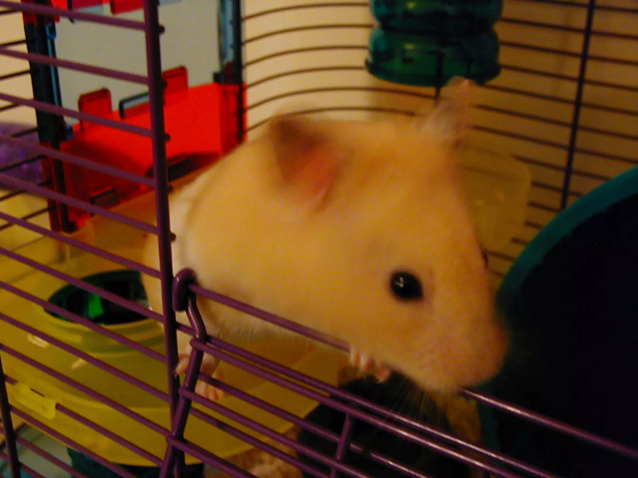 Mr. Humphries