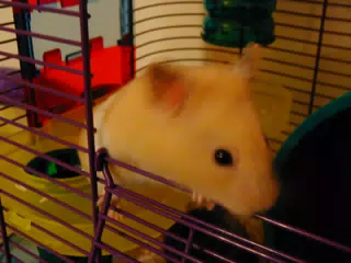 Mr. Humphries