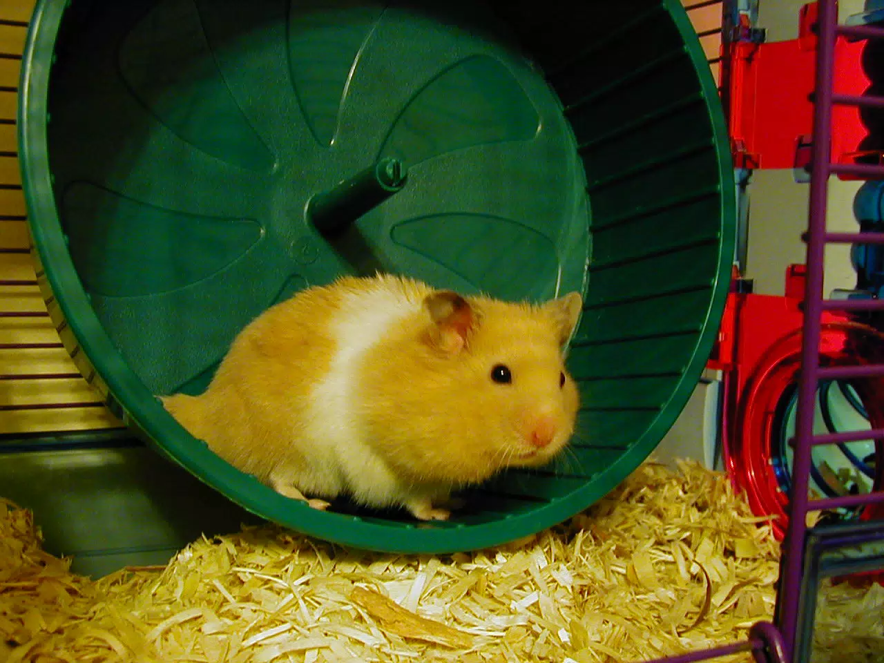 Mr. Humphries