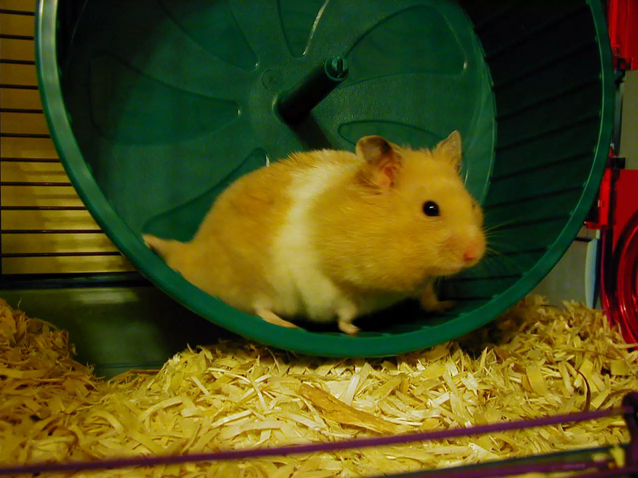 Mr. Humphries