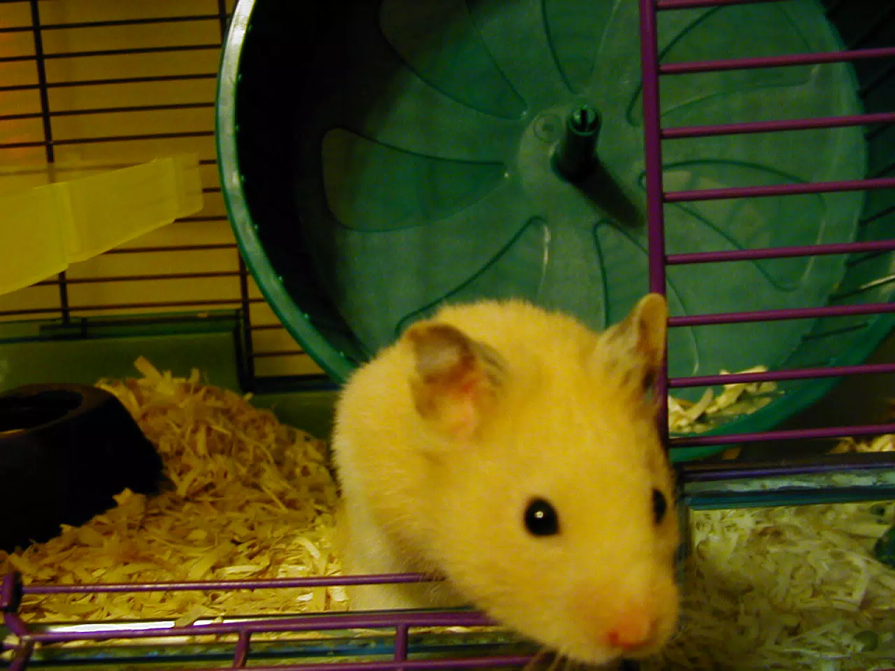 Mr. Humphries