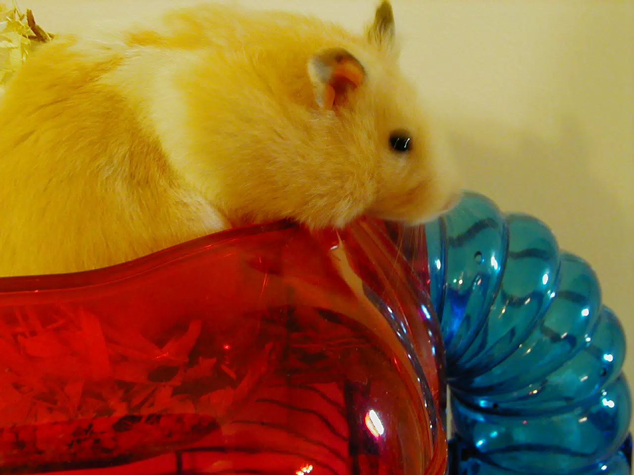 Mr. Humphries