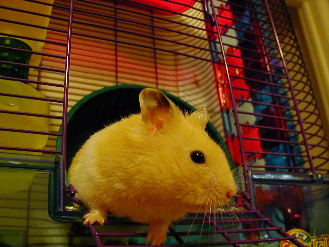 Mr. Humphries
