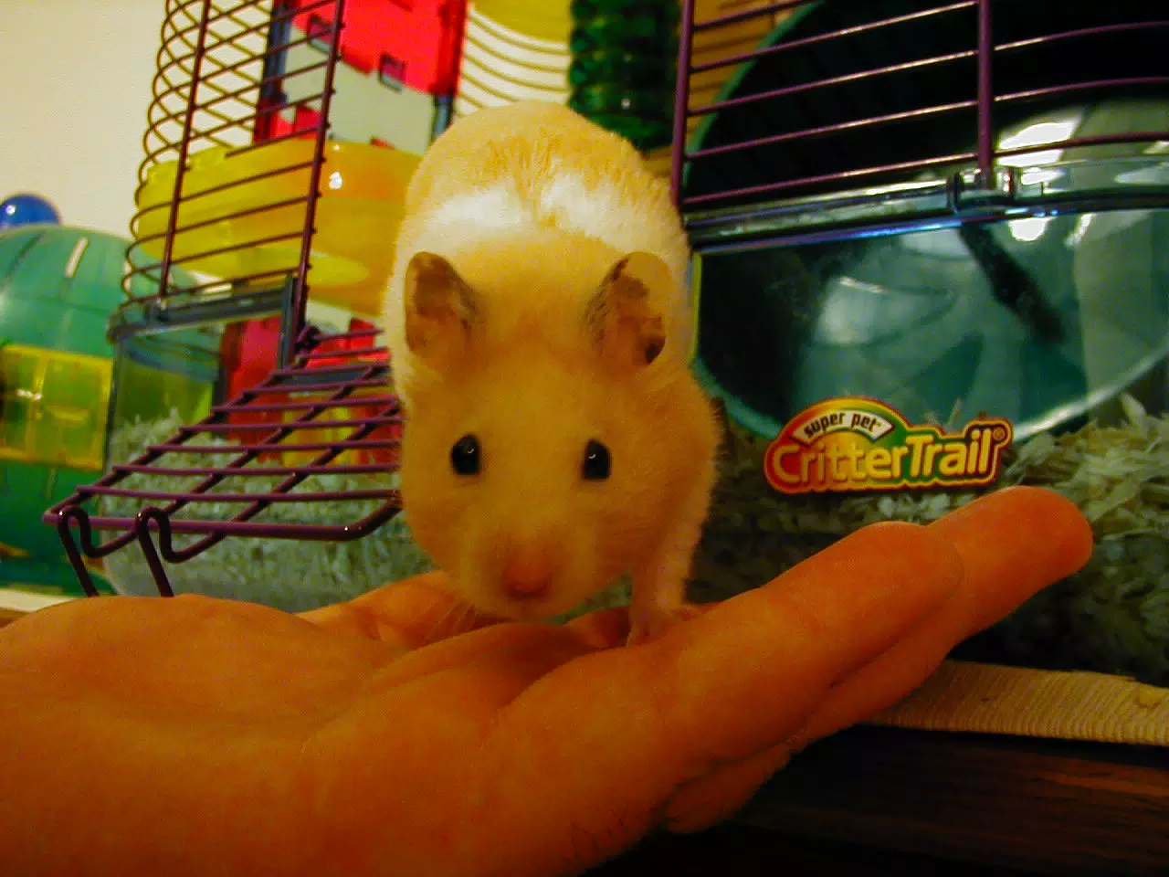 Mr. Humphries