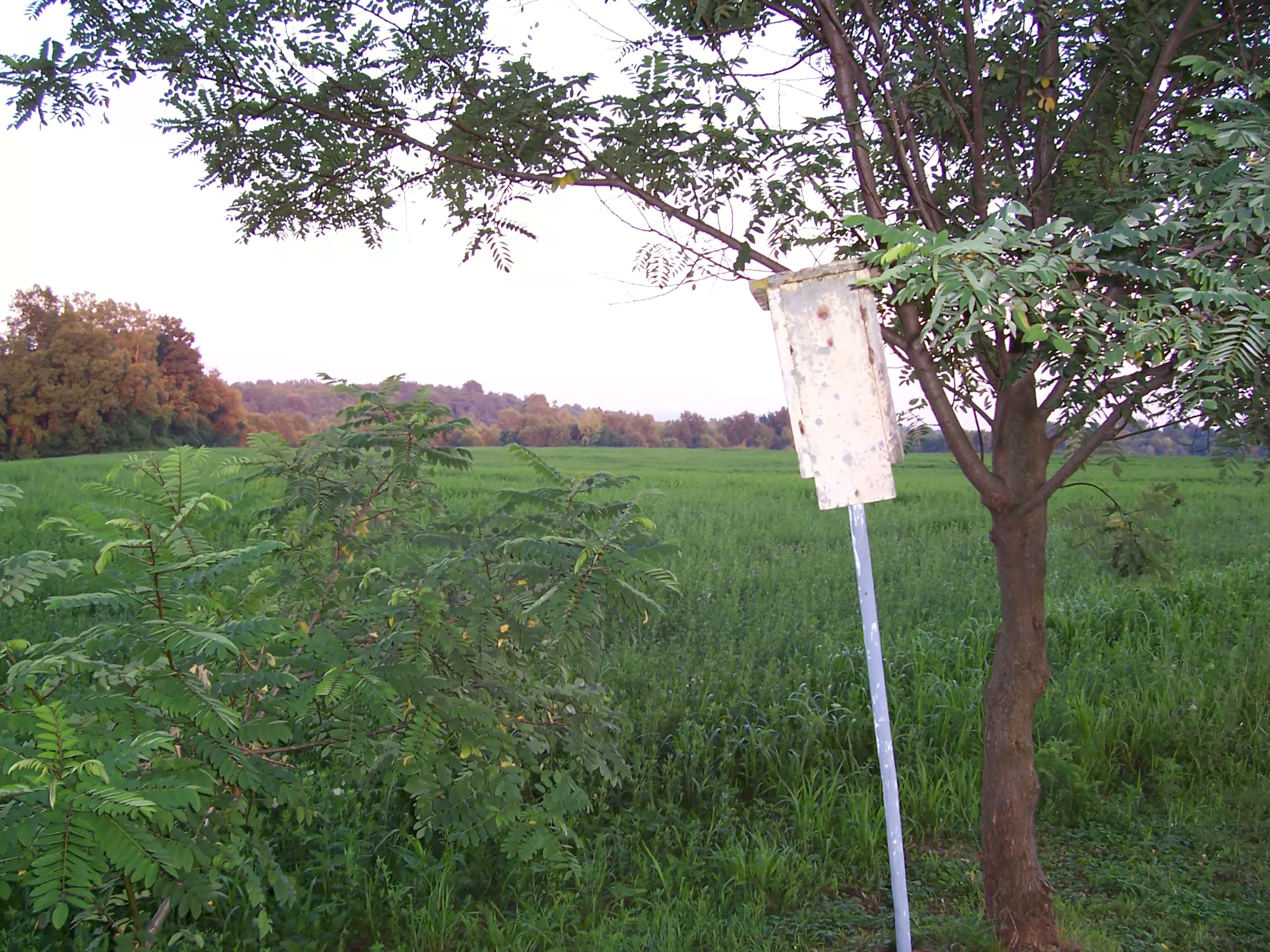 Bird House in Leicester, New York
