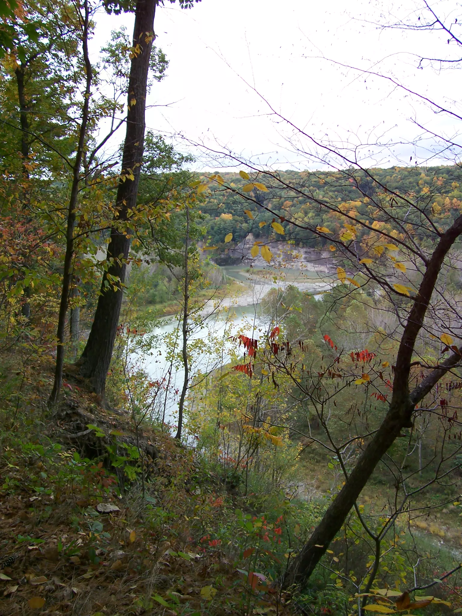 Genesee River Gorge in Letchworth State Park, New York