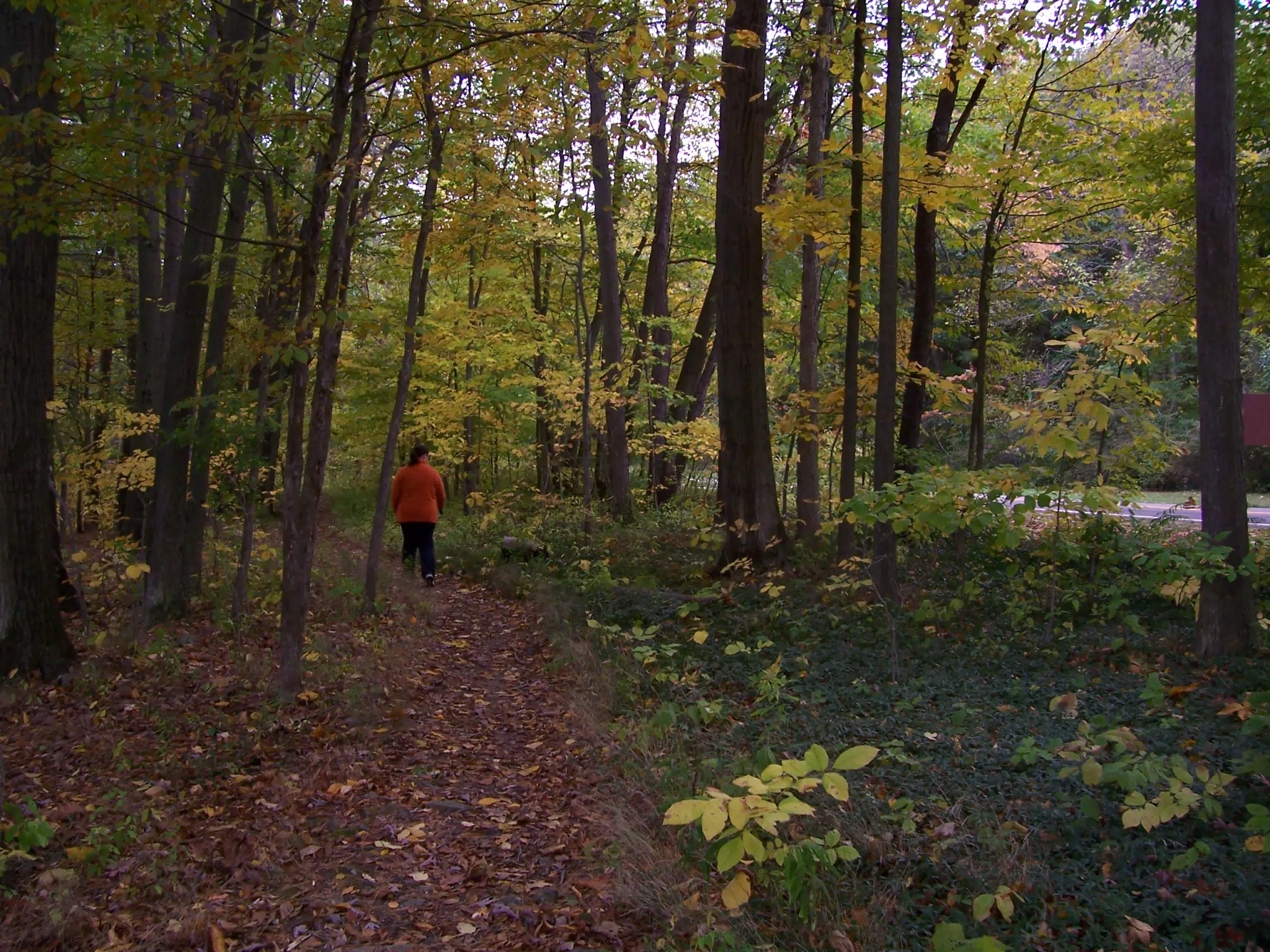 Dominica Miller and Oreo on Trail in Letworth State Park
