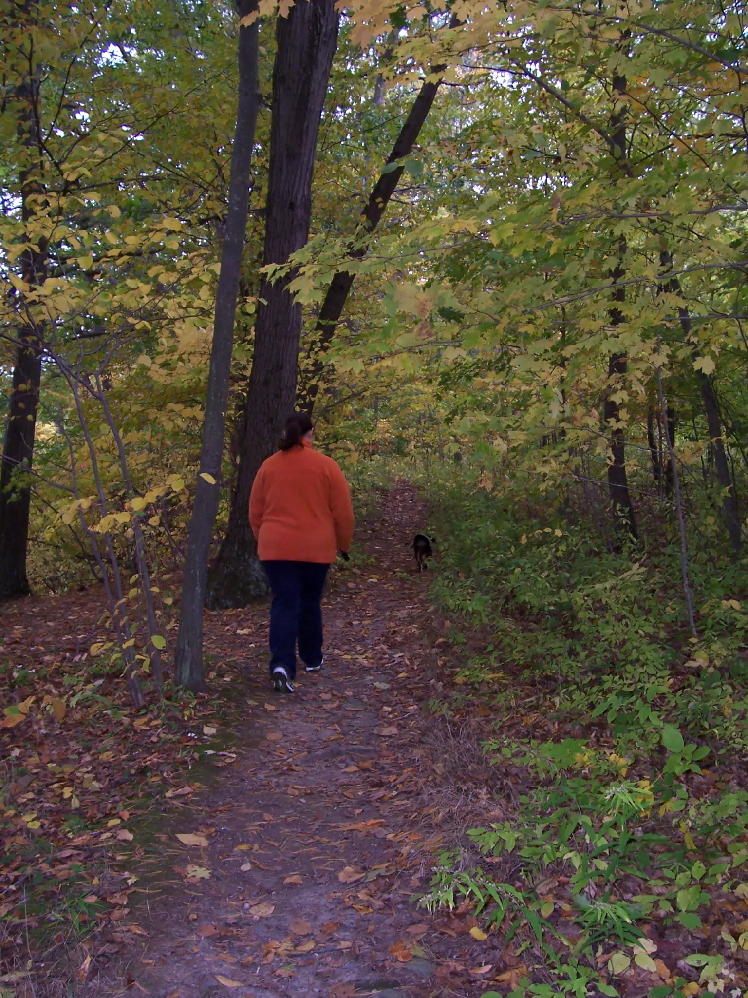 Dominica Miller and Oreo on Trail in Letworth State Park