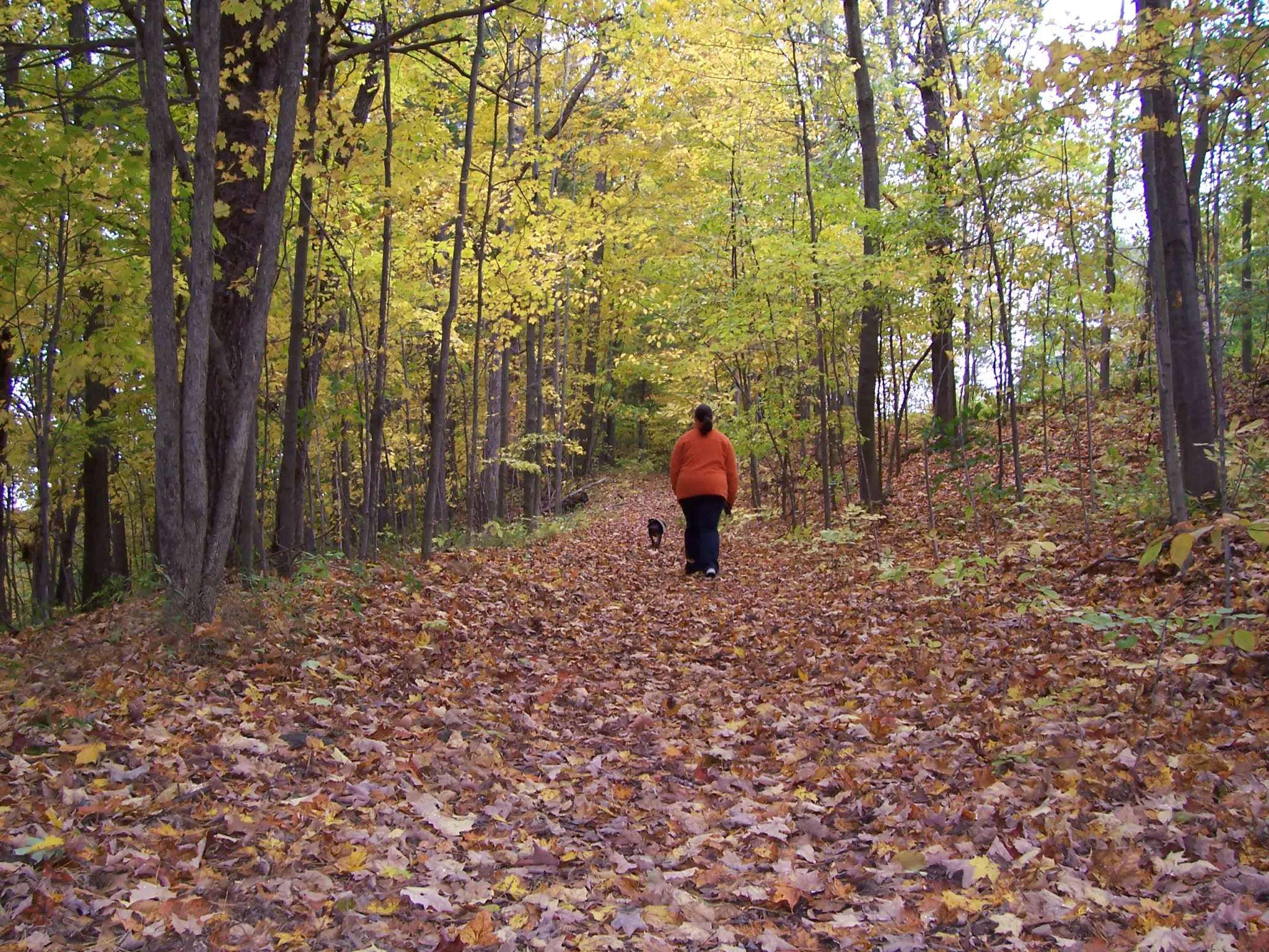 Dominica Miller and Oreo on Trail in Letworth State Park