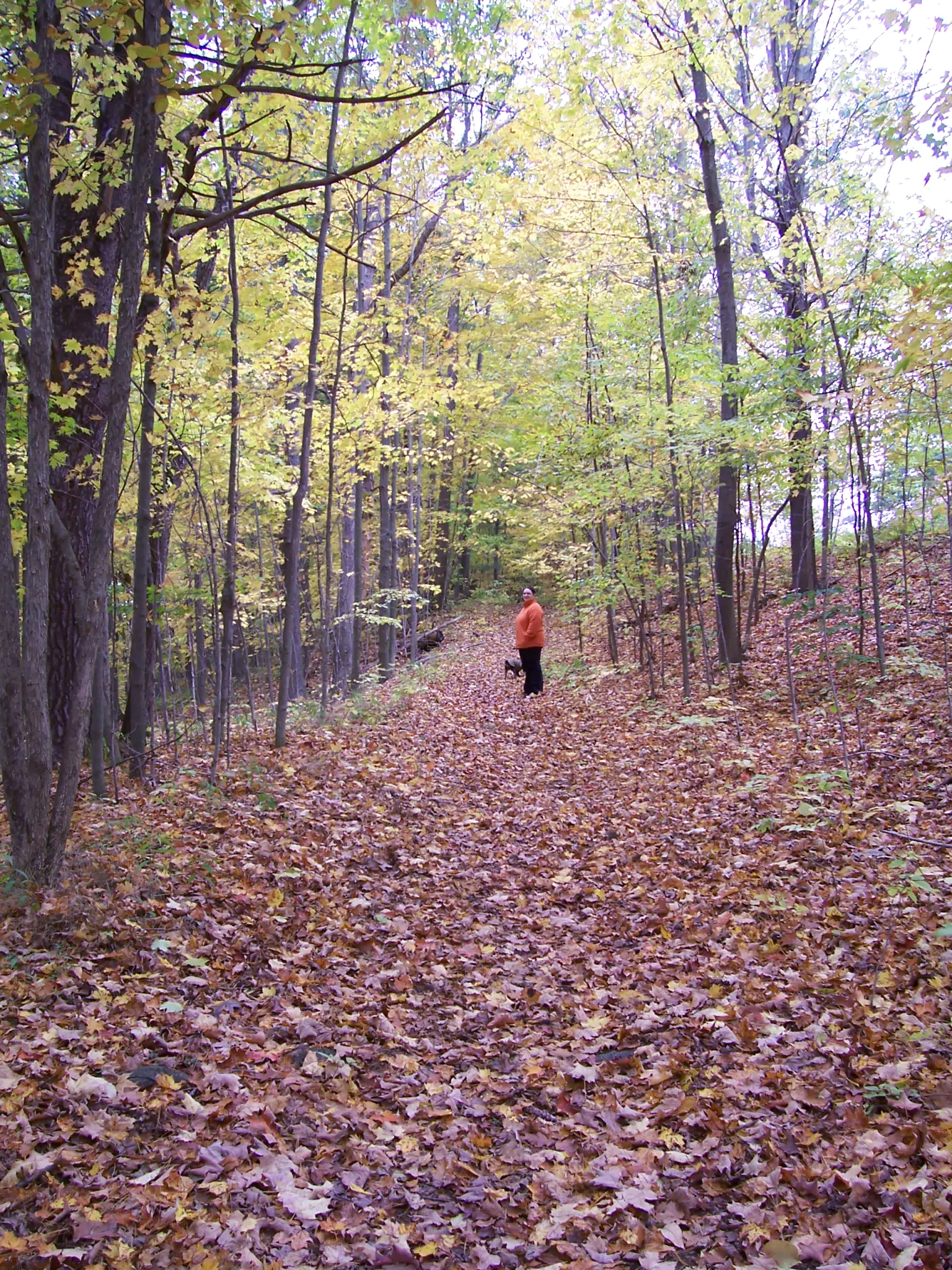 Dominica Miller and Oreo on Trail in Letworth State Park