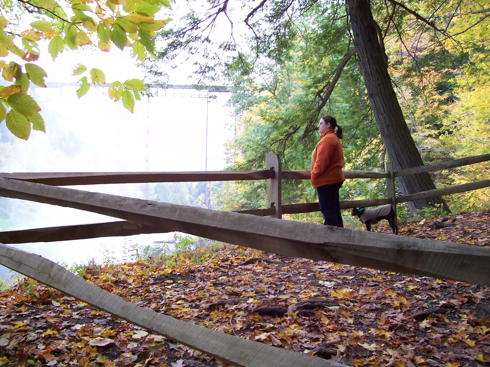 Dominica Miller and Oreo on Trail in Letworth State Park