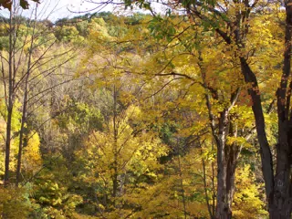 Autumn Leaves in Letchworth State Park, New York