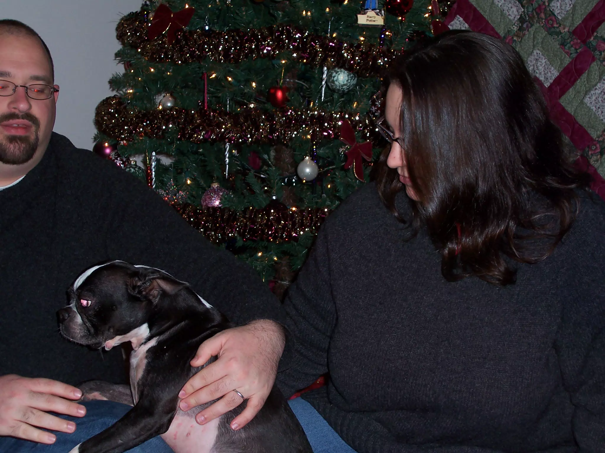 Scott Alan Miller, Oreo and Dominica Miller - Christmas Card Candidate
