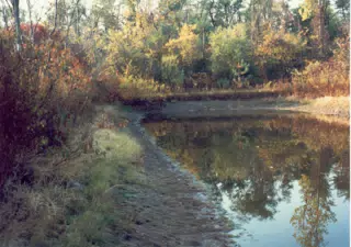 Small Pond on My Parents Farm
