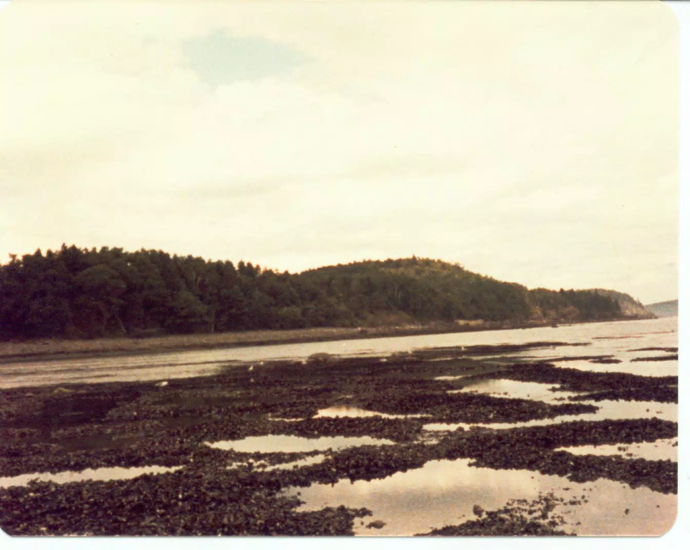 Beach on Mount Desert Island, Maine