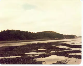 Beach on Mount Desert Island, Maine