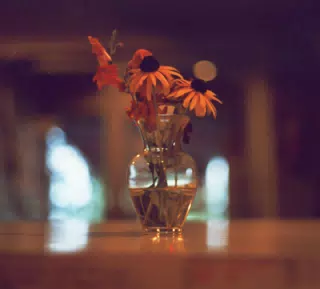 Flowers on Table