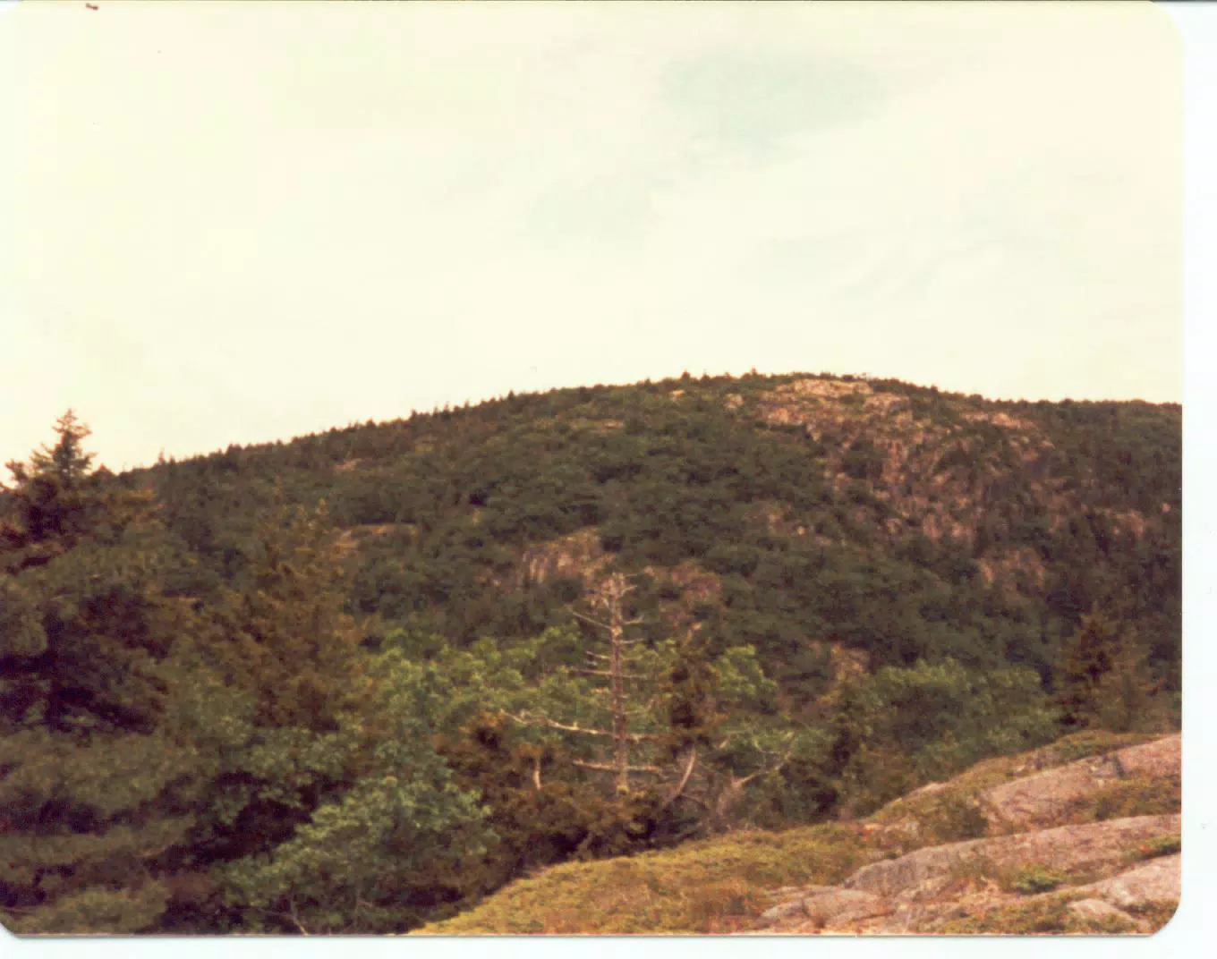 Mountain in Acadia National Park, Mount Desert Island, Maine