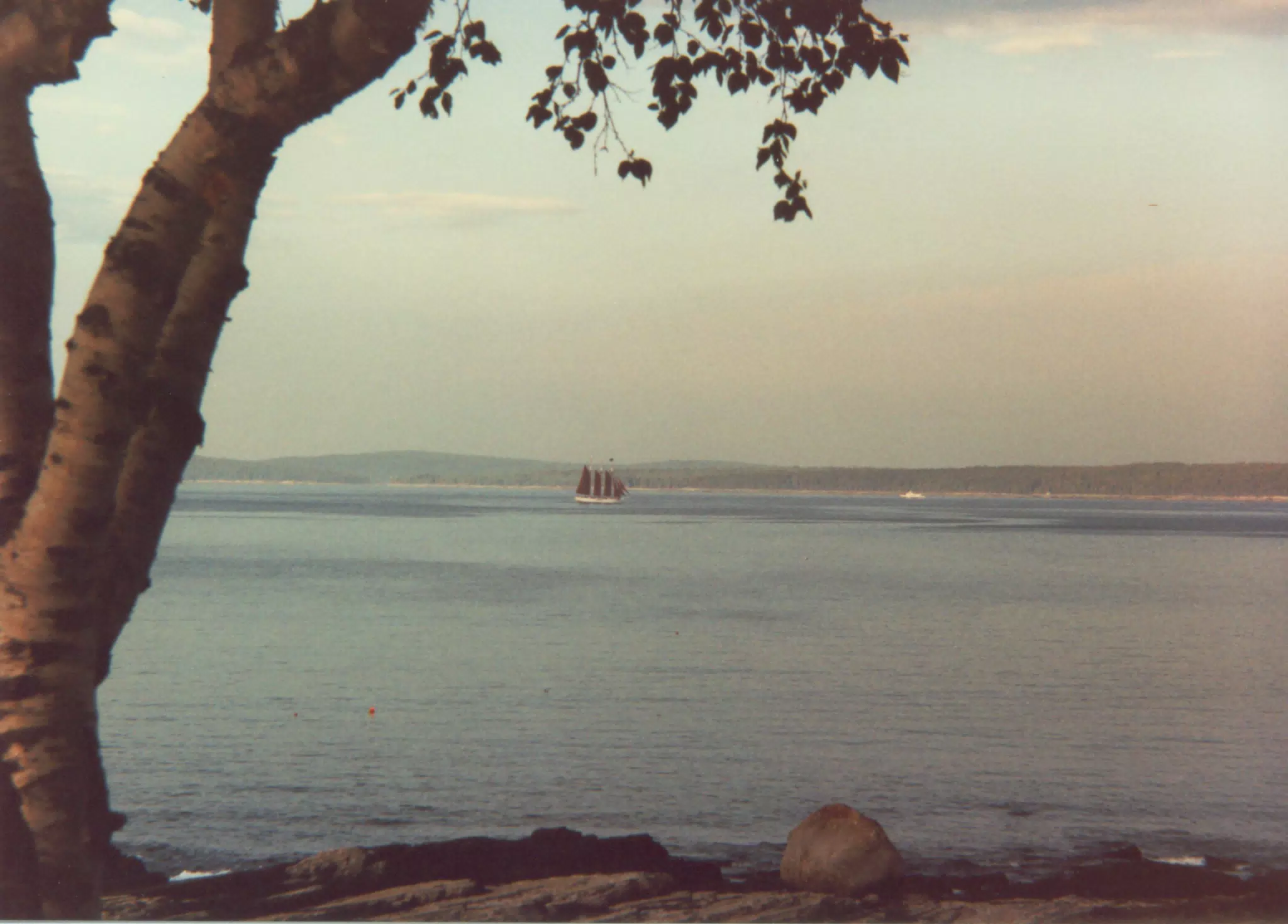 Sailboat off Mount Desert Island, Maine