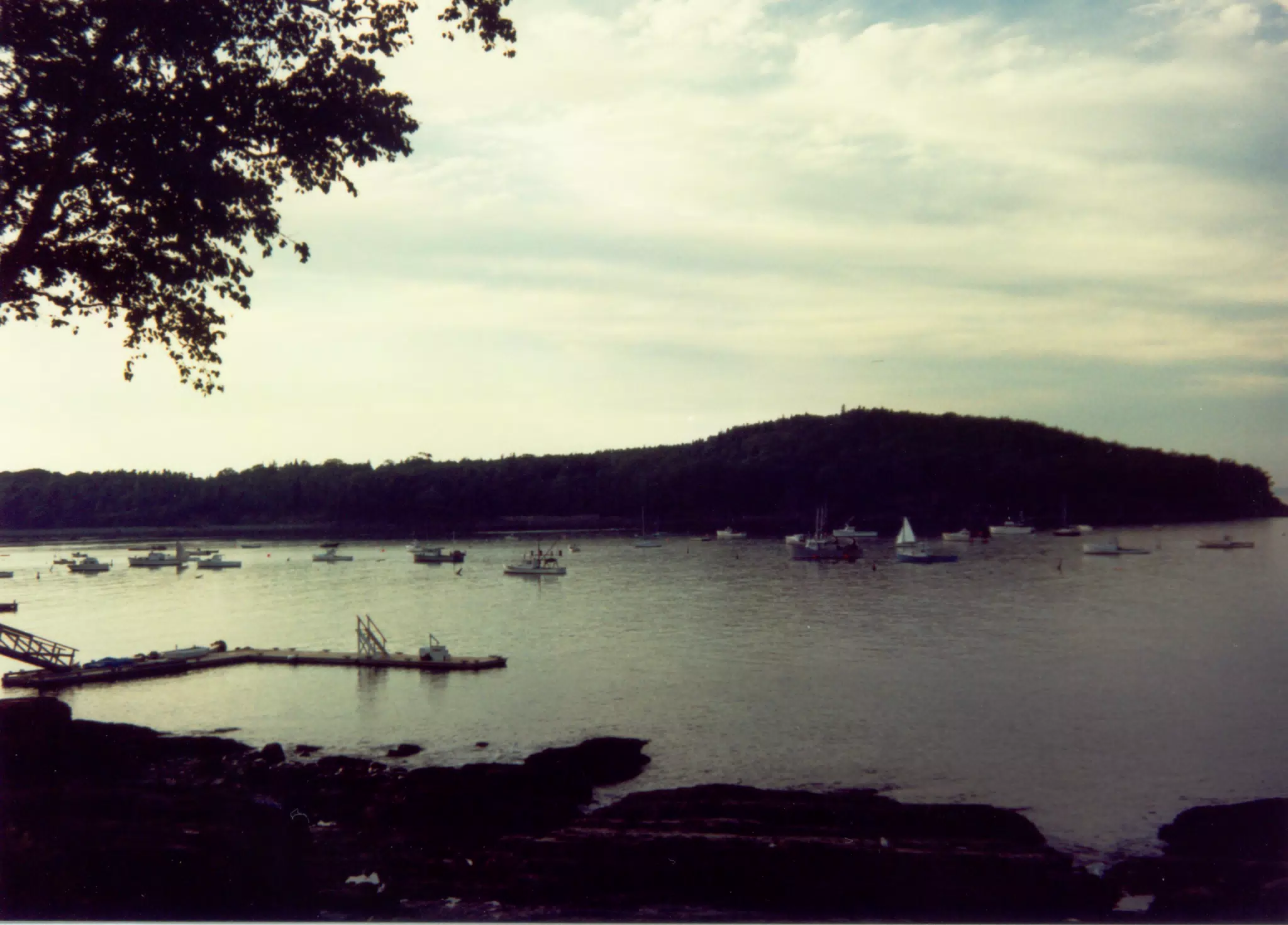 Boats in Harbor off of Mount Desert Island, Maine