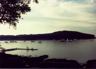 Boats in Harbor off of Mount Desert Island, Maine