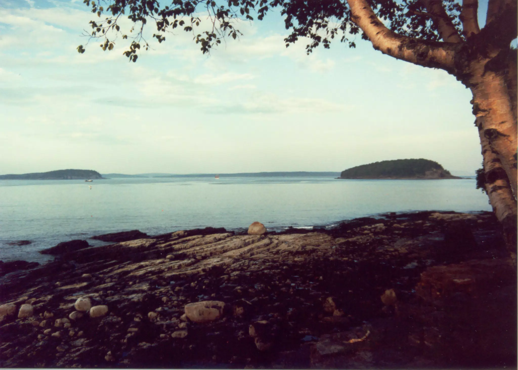 Atlantic Ocean from Bar Harbor, Maine