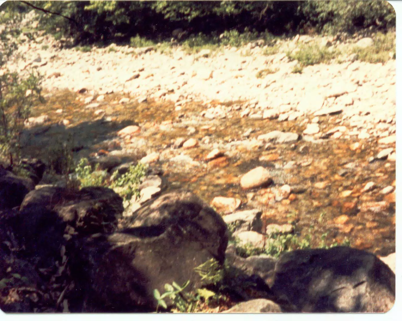 Stream on Mount Desert Island, Maine