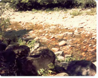 Stream on Mount Desert Island, Maine