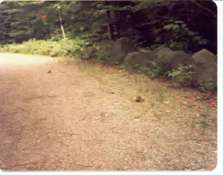 Carriage Path in Acadian National Park