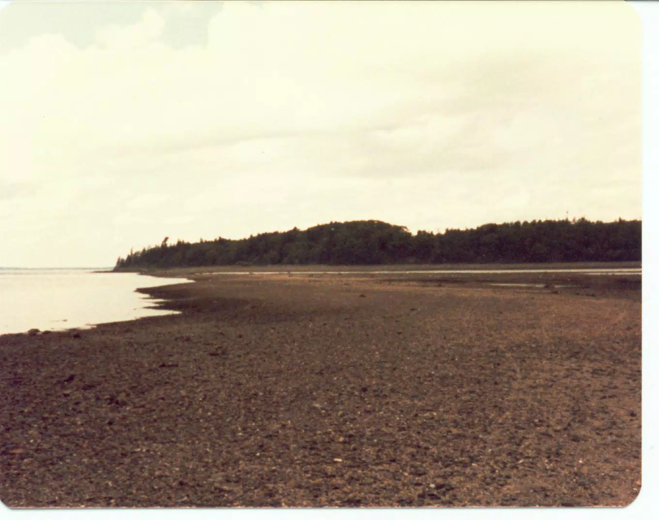 Beach on Mount Desert Island, Maine