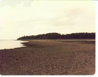 Beach on Mount Desert Island, Maine
