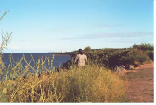 Dominica Miller Looking at Northumberland Lighthouse