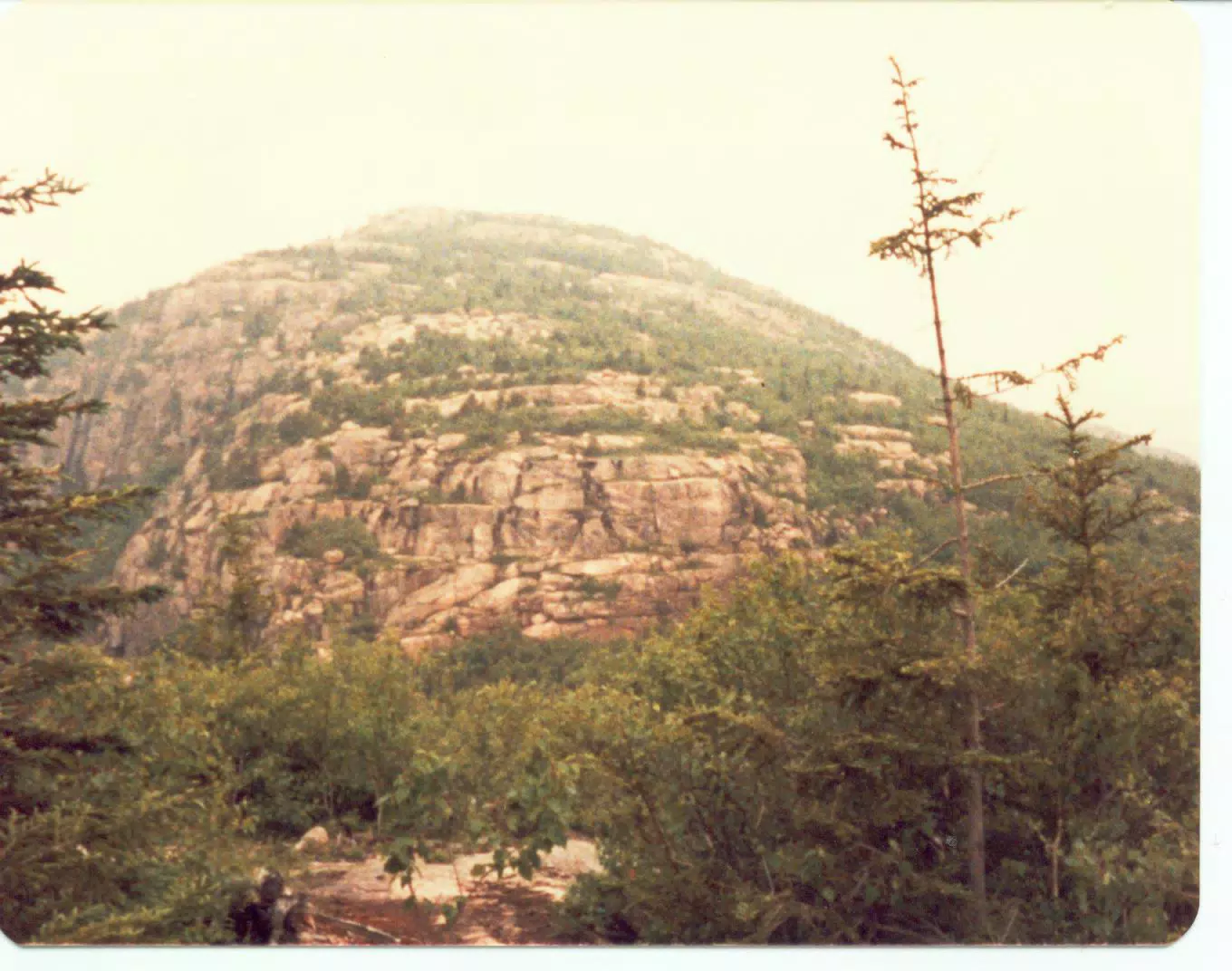 The Beehive on Mount Desert Island