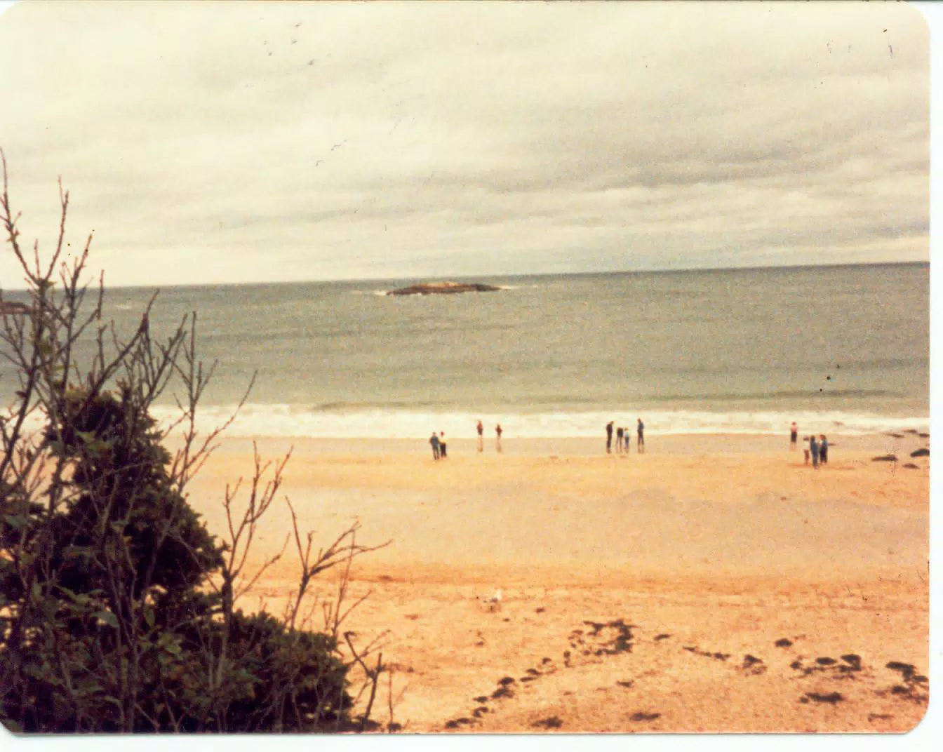 Beach on Mount Desert Island, Maine