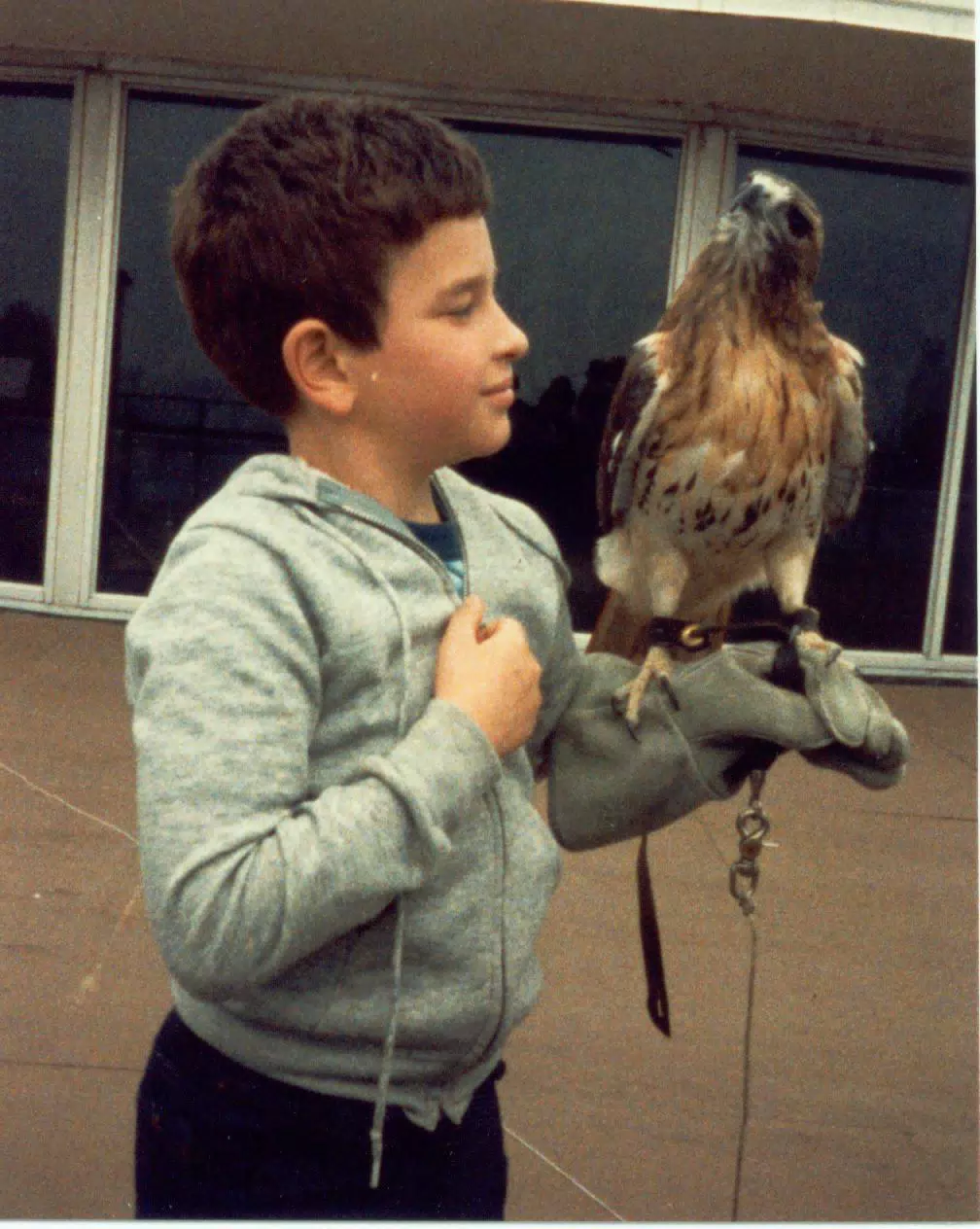 Scott Alan Miller Holding Red Tailed Hawk
