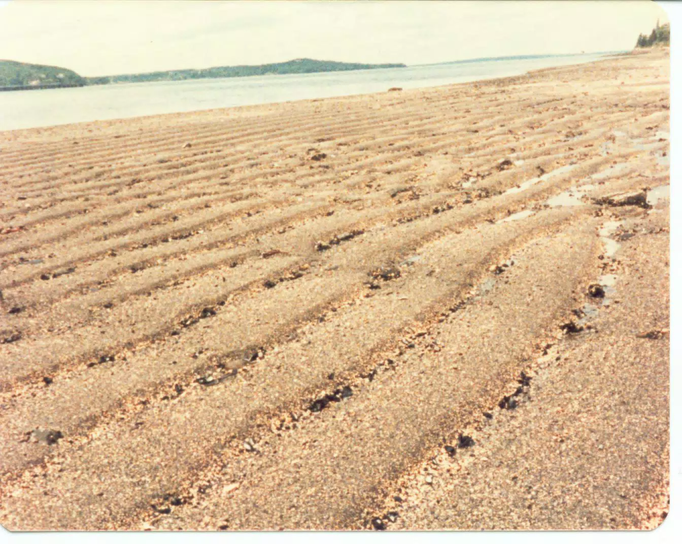 Beach on Mount Desert Island