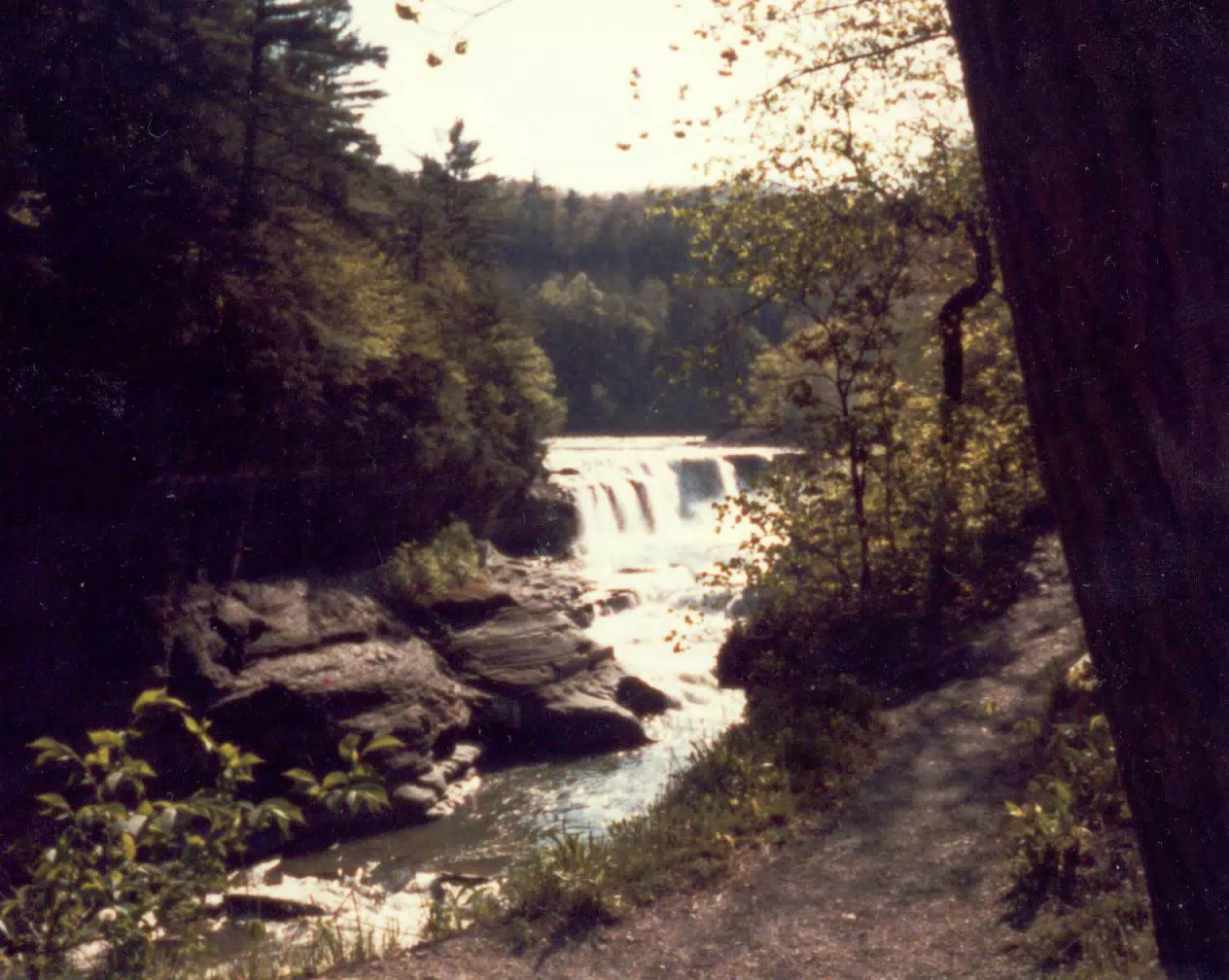 Lower Falls of Letchworth State Park, New York