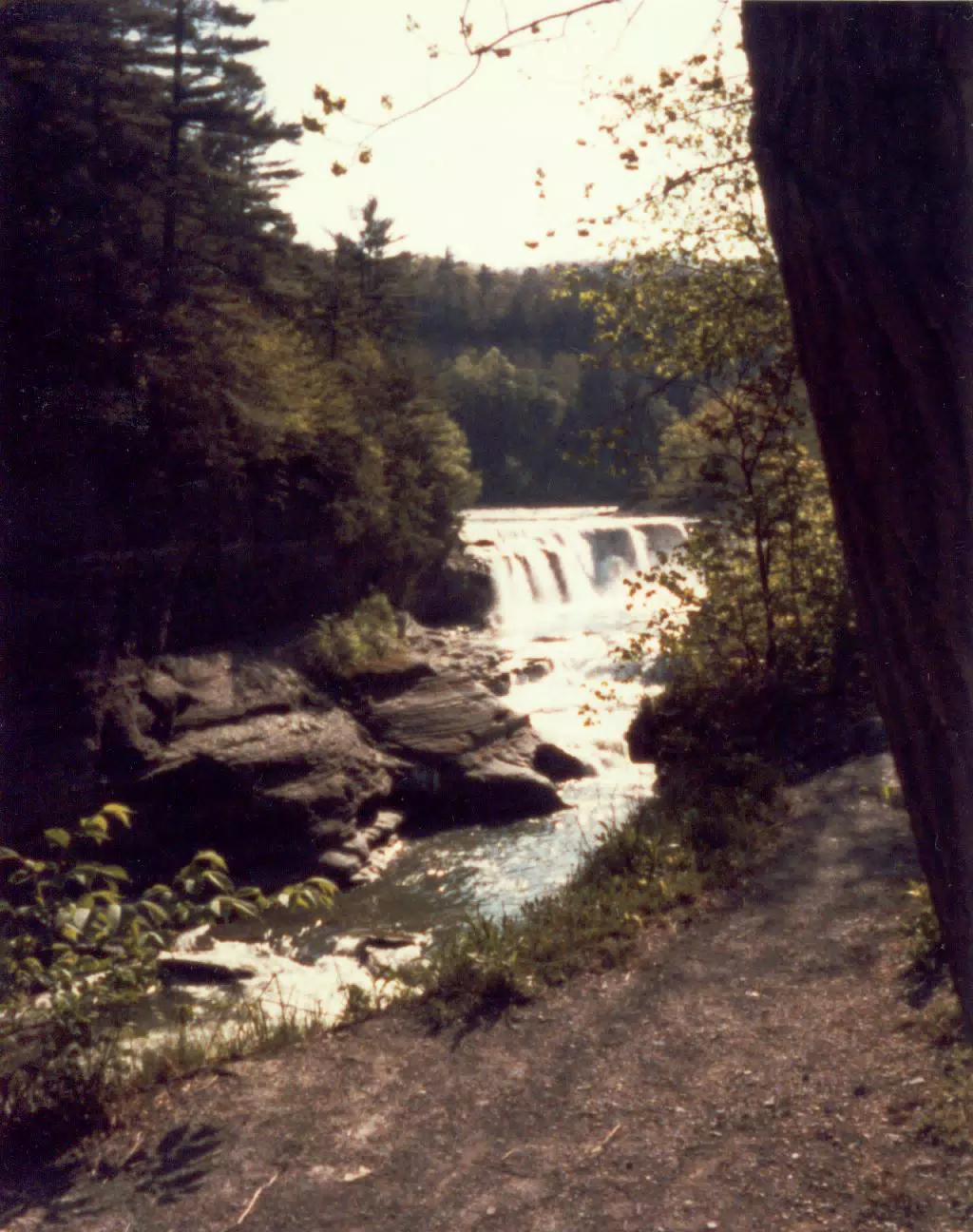 Lower Falls of Letchworth State Park, New York