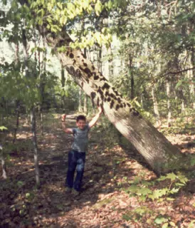 Scott Alan Miller Holding Up Tree