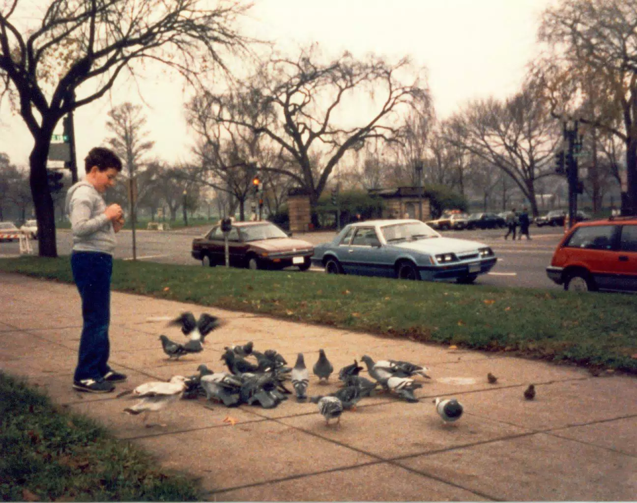 Scott Alan Miller Feeding Birds