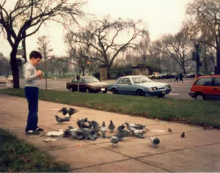 Scott Alan Miller Feeding Birds