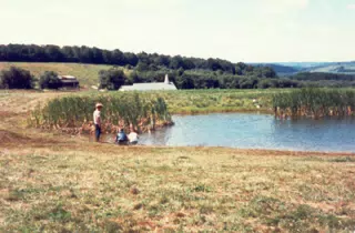 Swimming Pond at Circle C Ranch