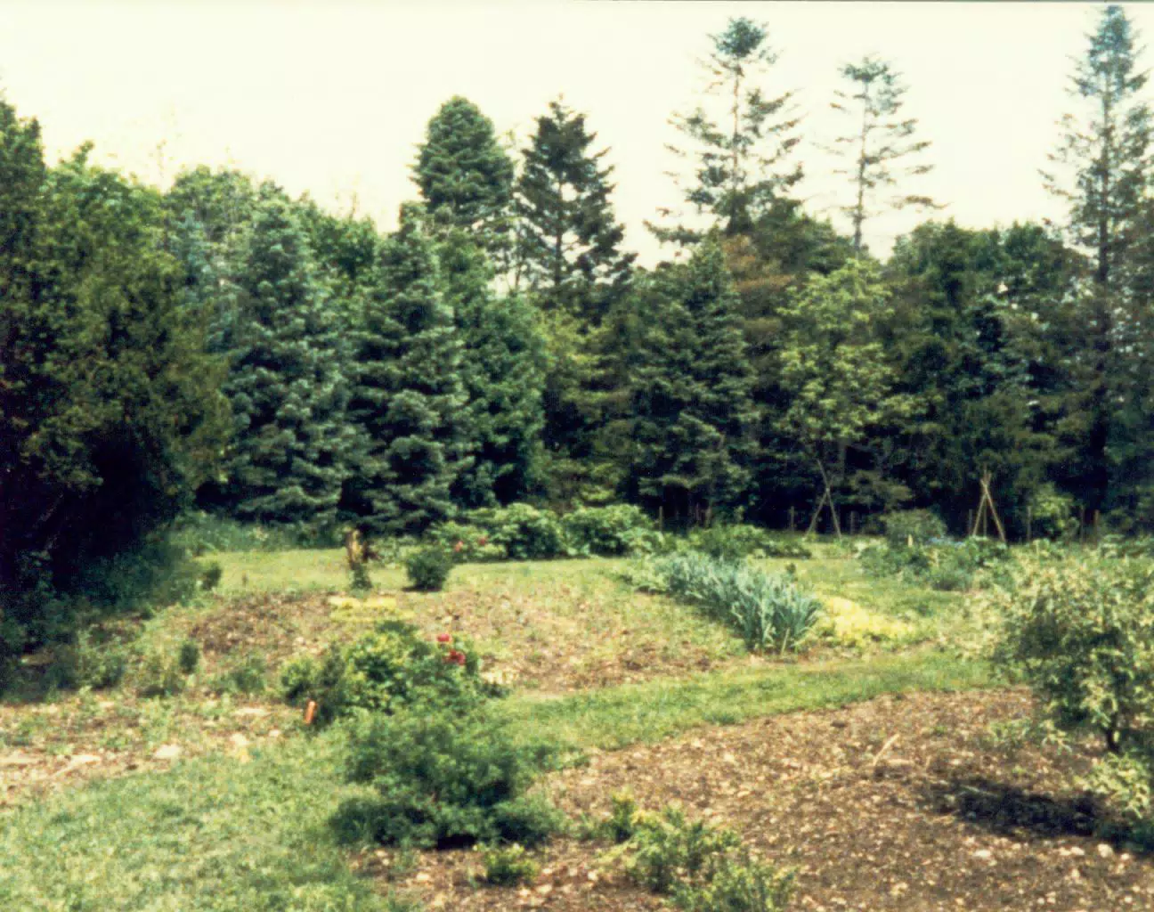 Gardens on Gratwick Estate