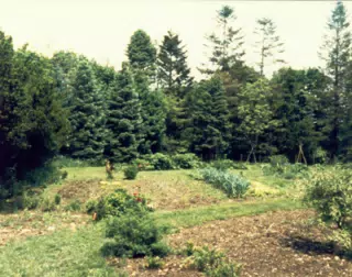 Gardens on Gratwick Estate