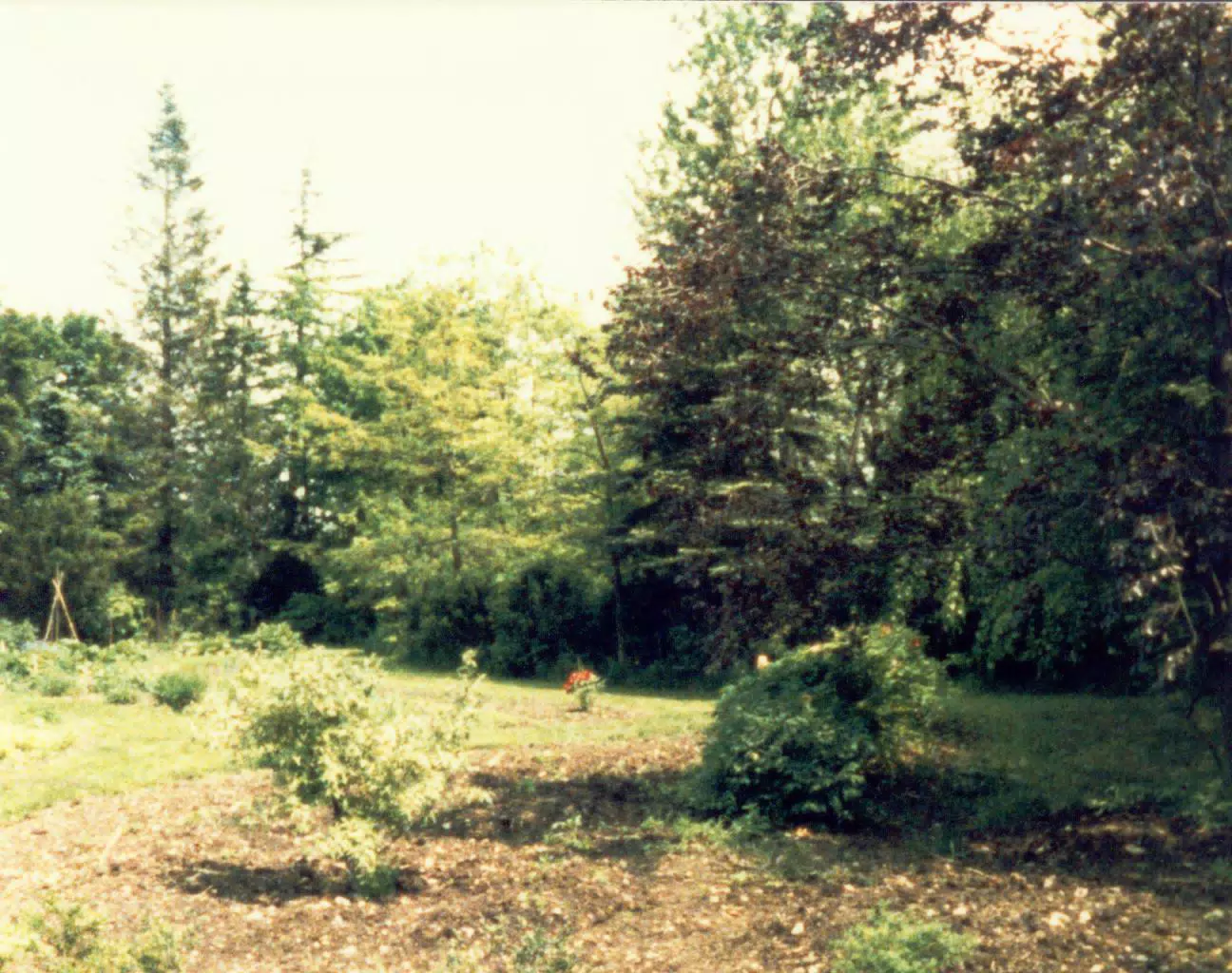 Gardens on Gratwick Estate